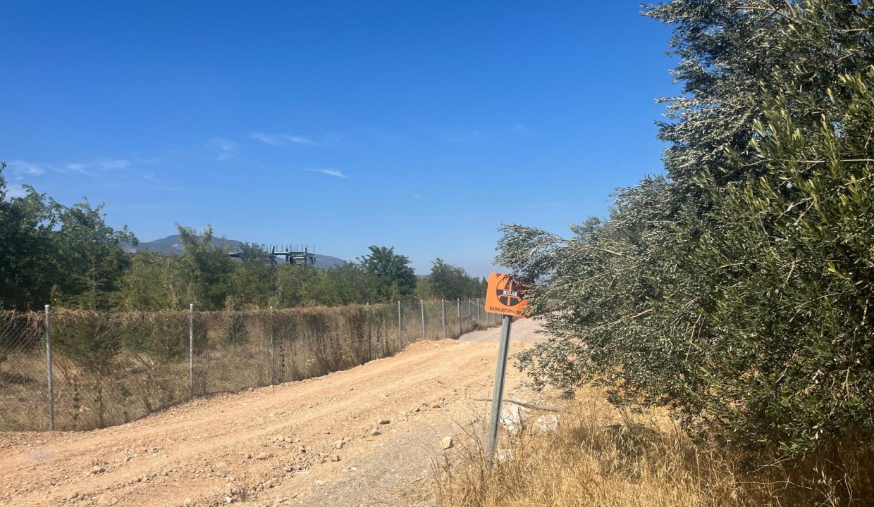 WhatsApp Image 2025-11d-28 at 15.26.10