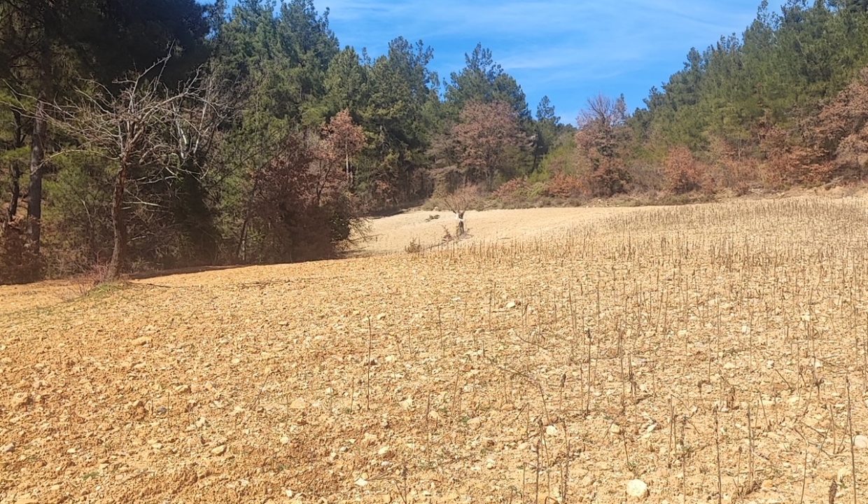 ab35d15a-abaf-43ad-a8f8-a9bdcc8a4eb1