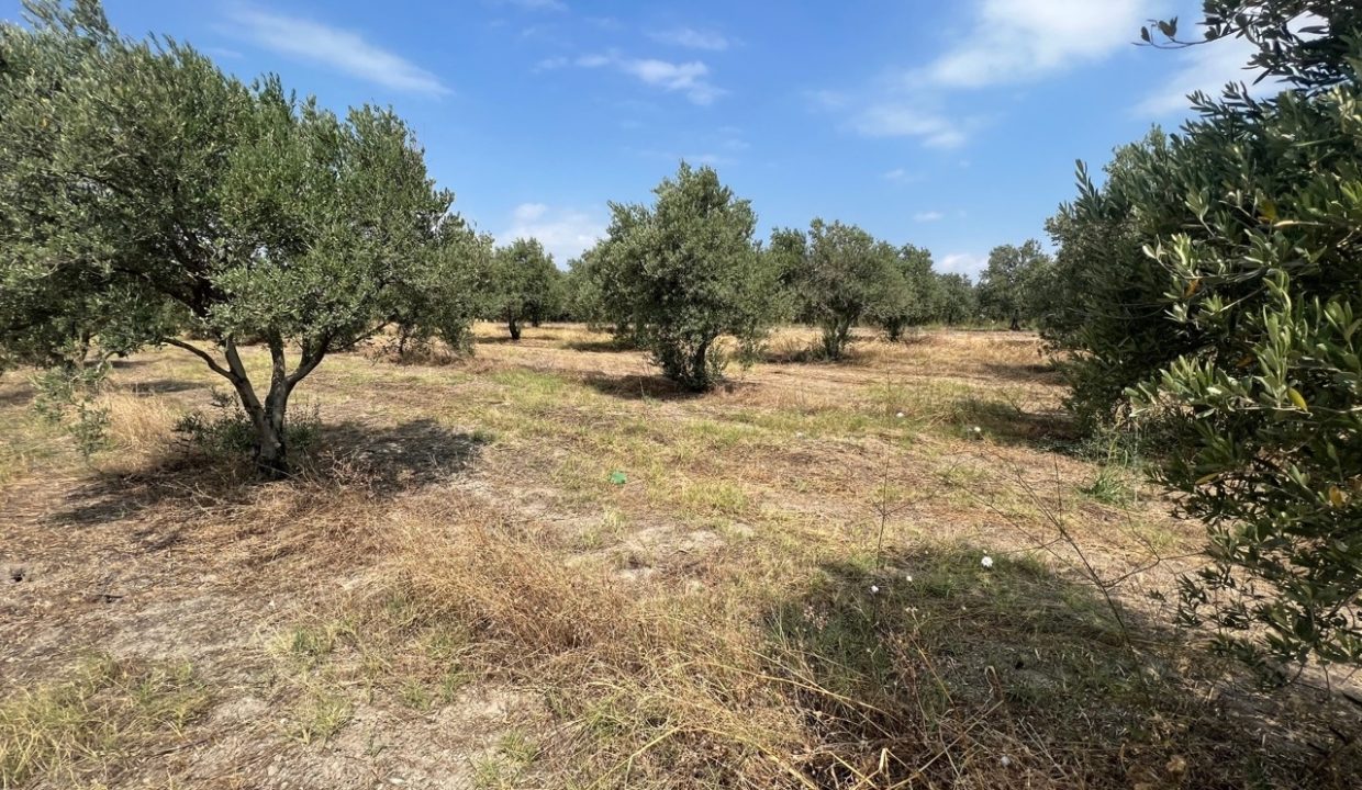 b044908a-eb8a-40b1-ac17-f933bd497766