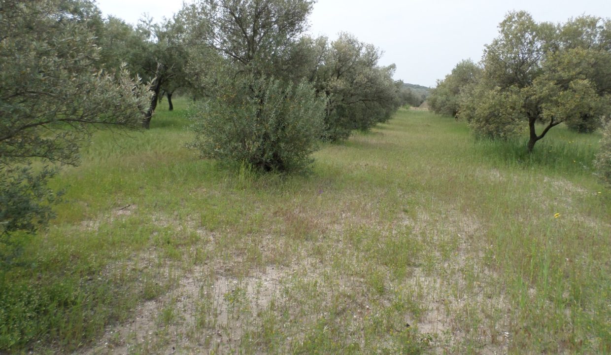 b11d28d5-76b2-4176-bbab-807503d34906