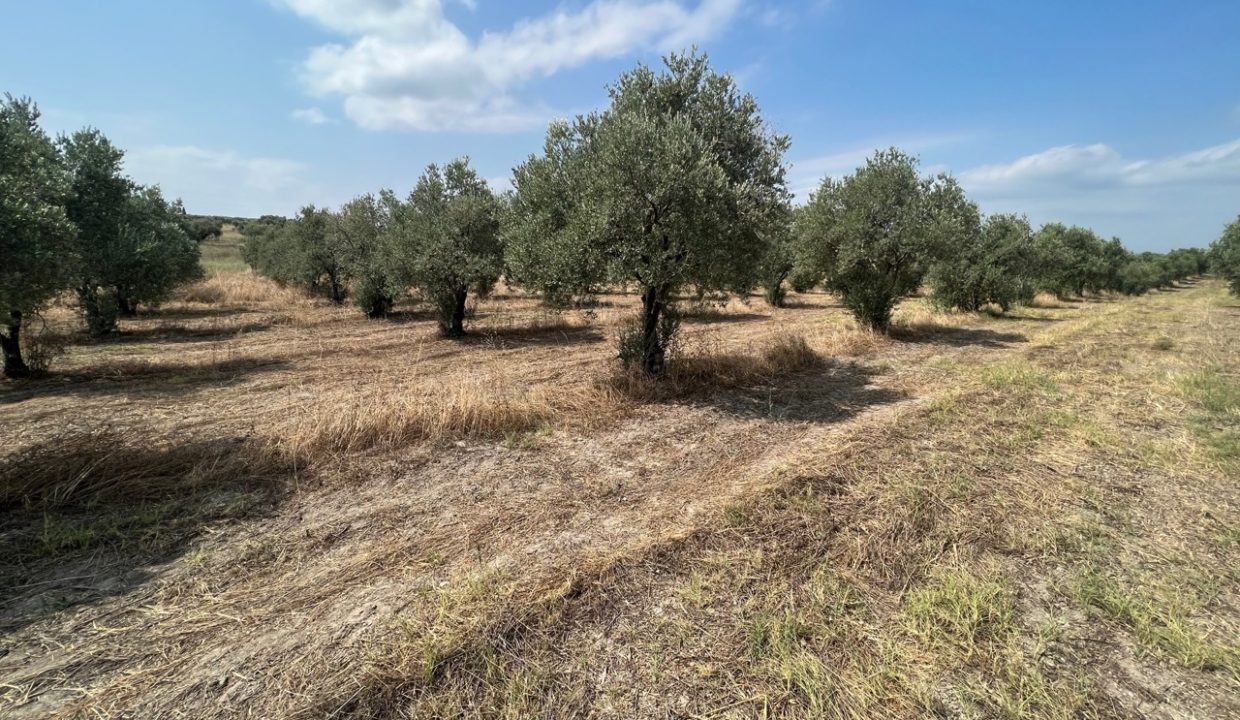 b5f741b9-968f-46de-bd9e-11b012af03f0