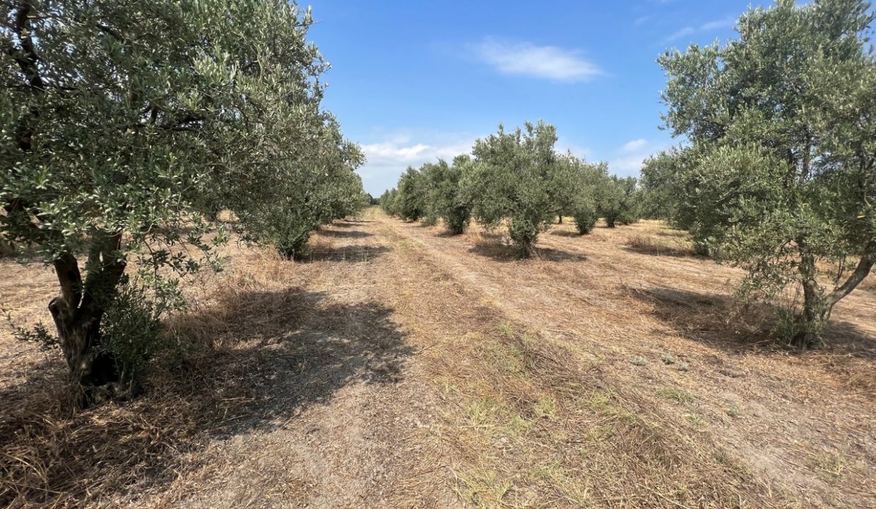 b6bc2136-847c-4497-9f06-595d42e7d42b