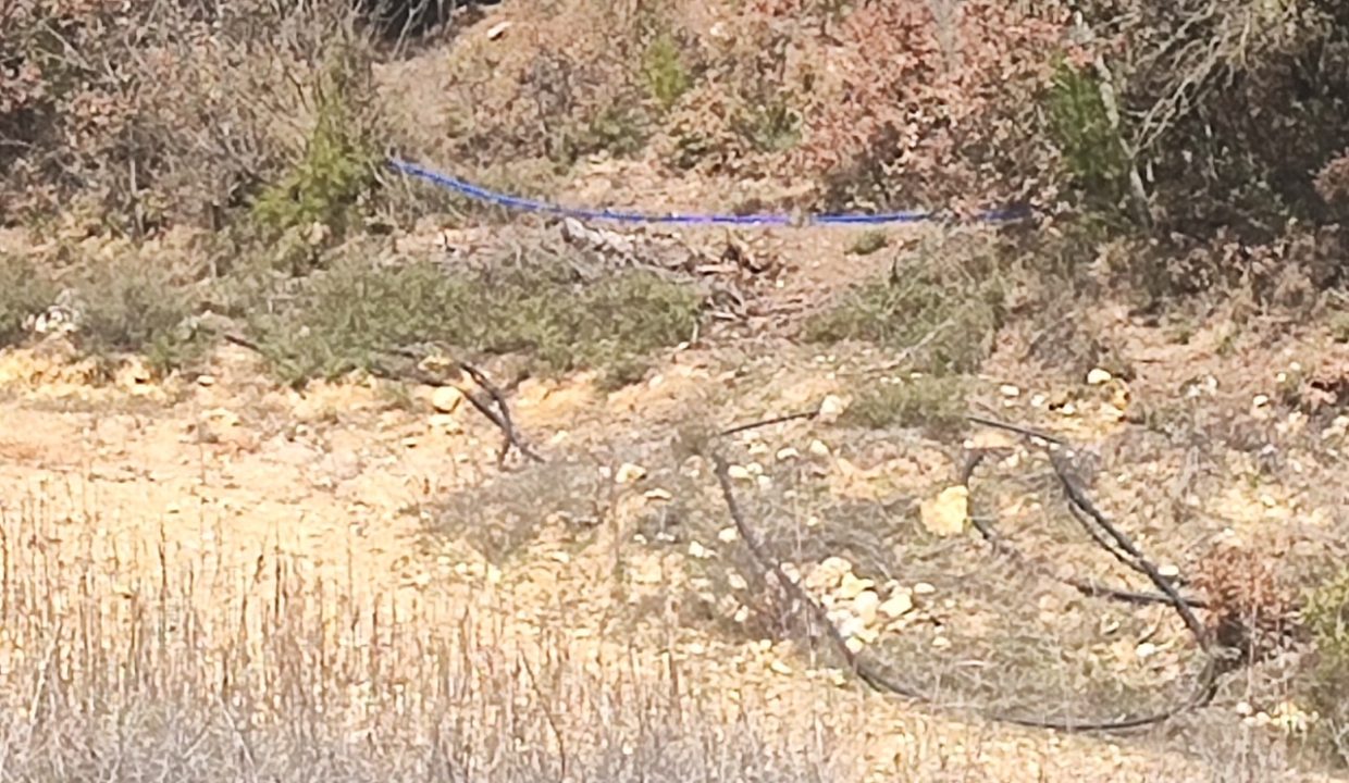 b6f99354-de78-426e-ac93-78363fd33bfa