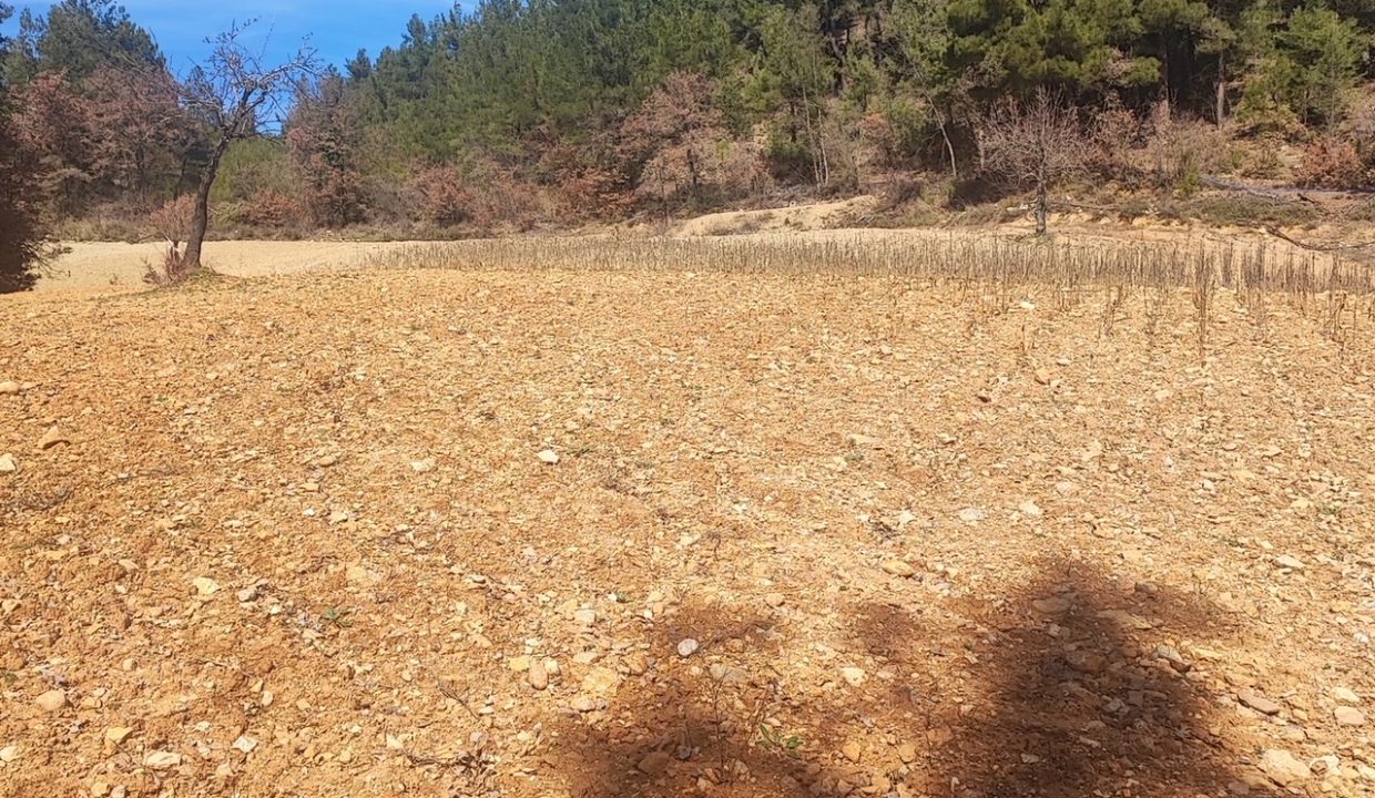 baae22b6-efa6-407e-9e78-a842b0acbd79