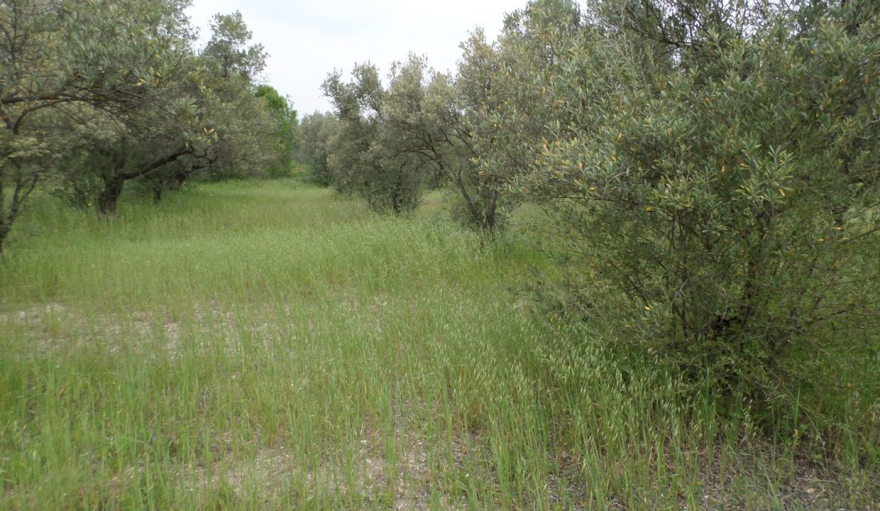 bc57d81d-a027-4c49-9c62-af3bc1113024