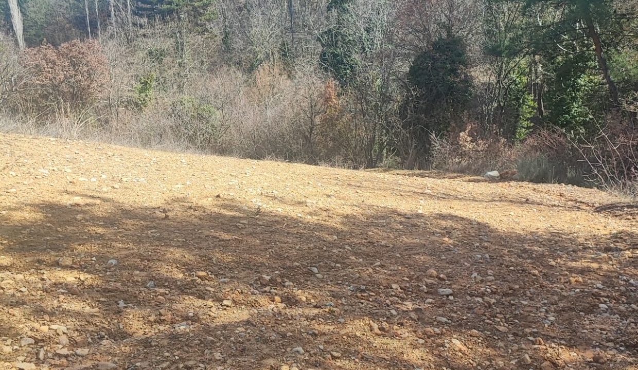 c8b0787b-5473-415e-af8e-7659a7971470