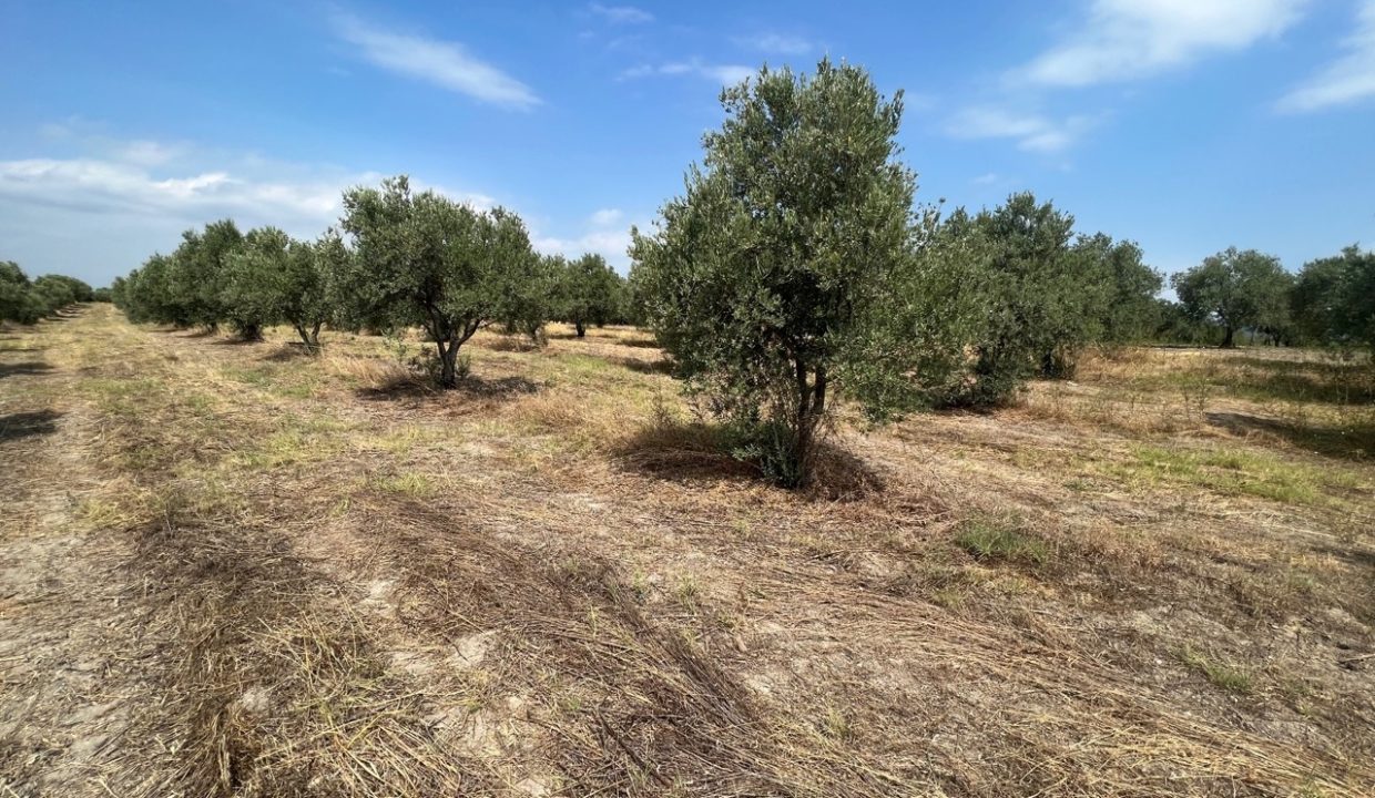 e00fc885-5ad5-4872-bcee-a2c6304ce997