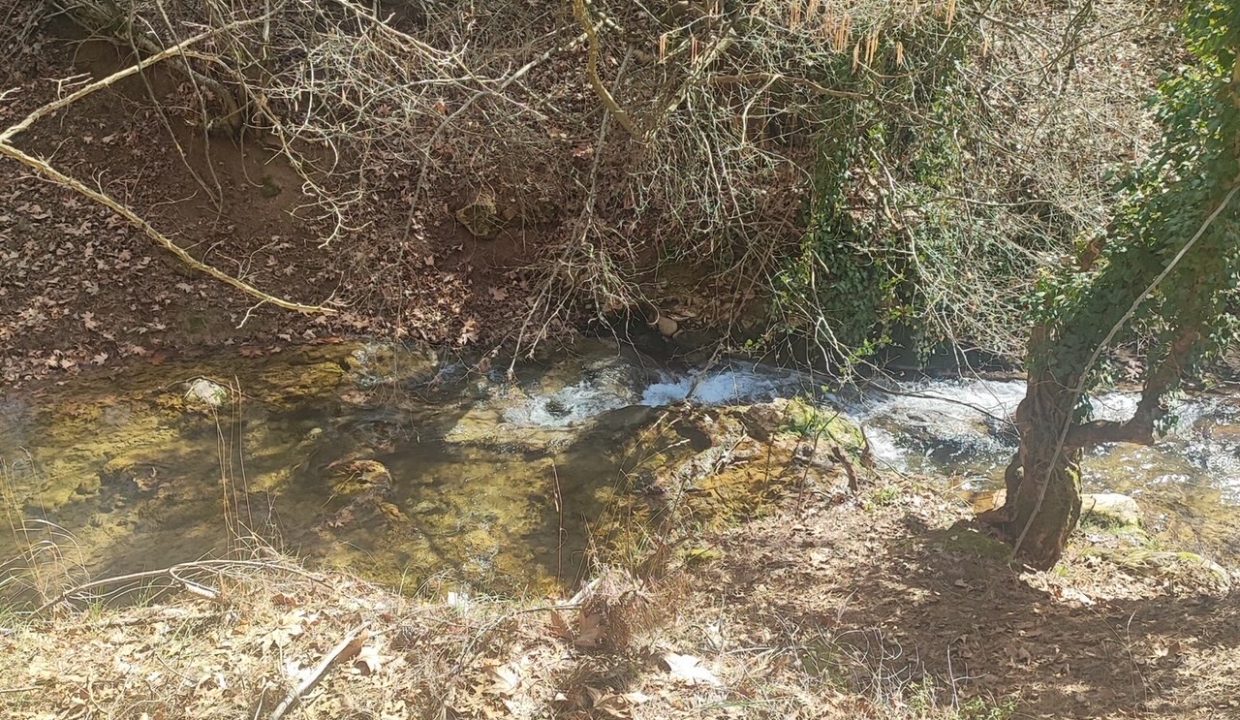 eac37fc4-4dd8-4900-9ede-df486f98ba5f