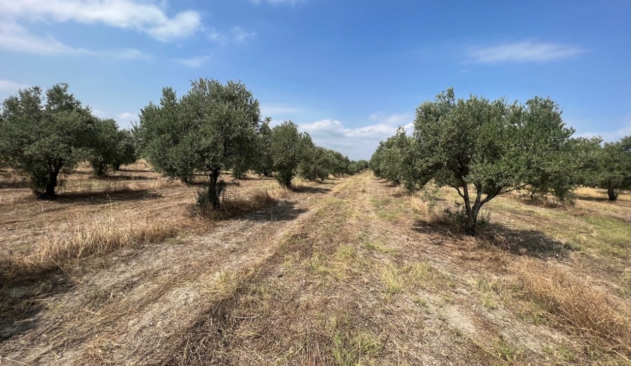 eba6099a-c9be-4680-a691-4c76cf7deec6