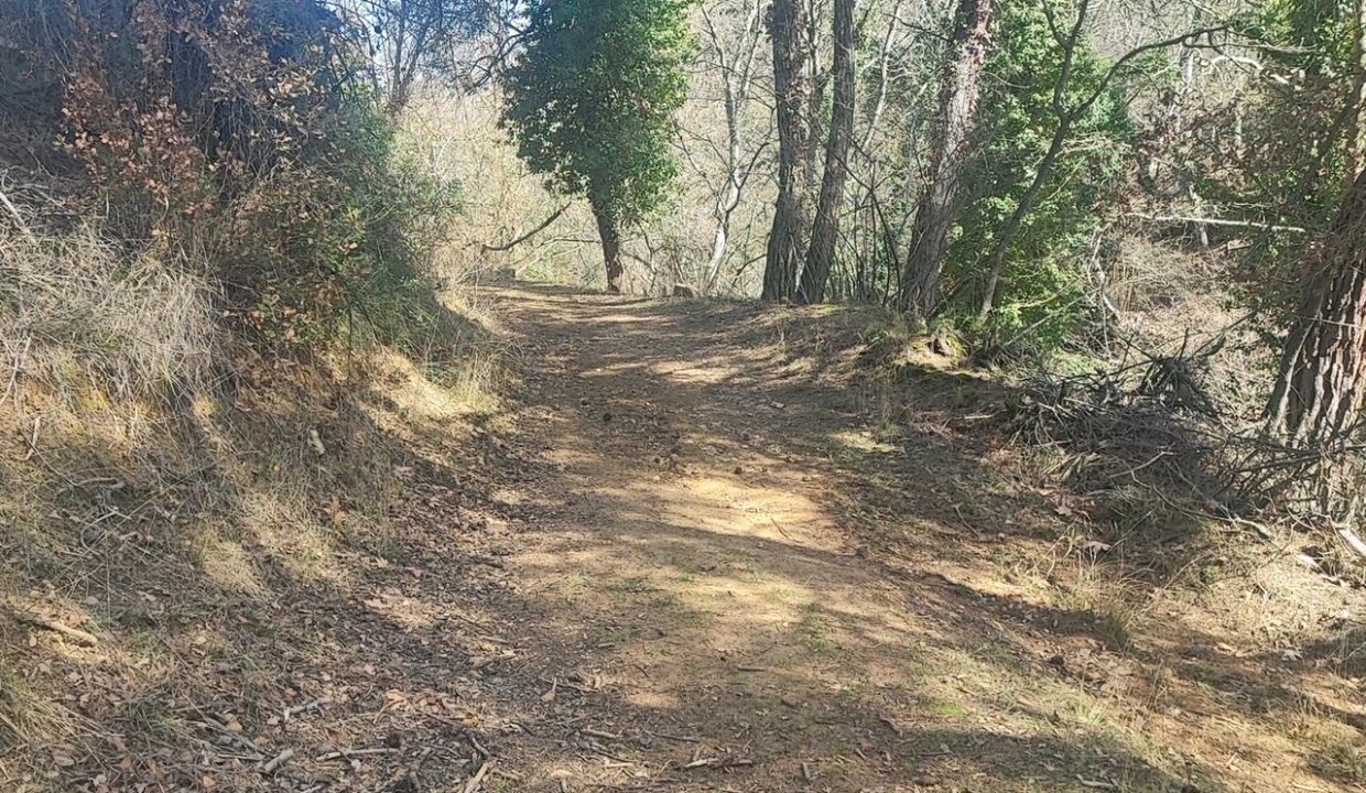 ecd156f9-a6c7-4860-a2df-934d09c74bf6