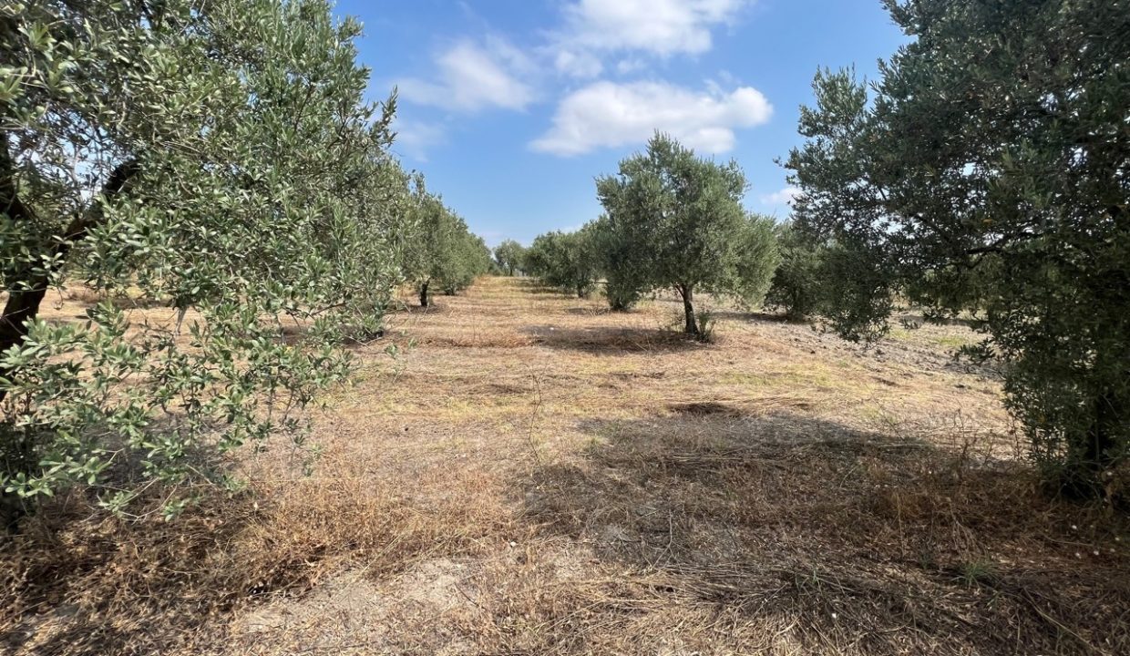 eeb86d08-3415-4431-a50d-4c71c0e40e31