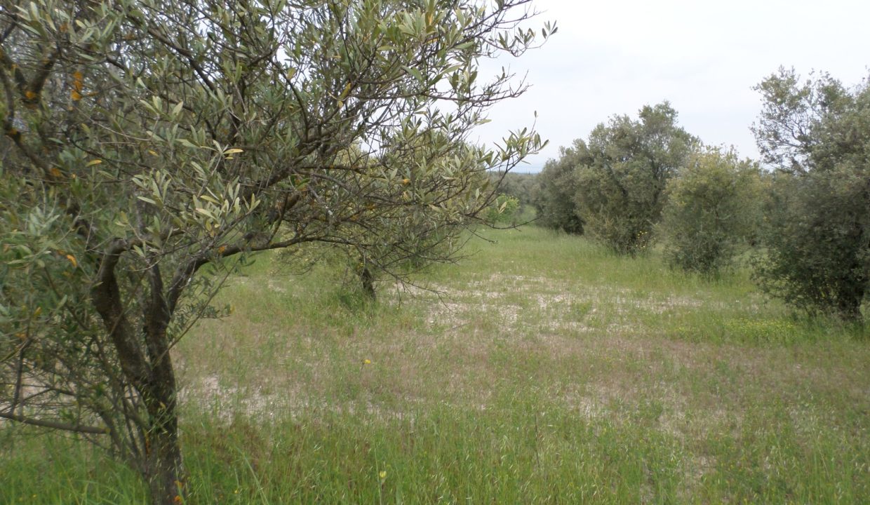 fe69bcb5-b367-412a-9145-7df835662806