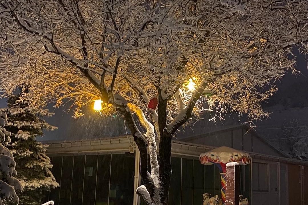 WhatsApp Image 2025-12-02 at 22.02.17 (1)