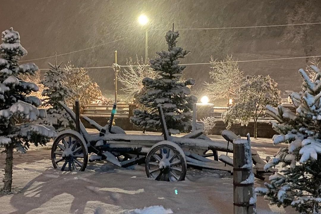 WhatsApp Image 2025-12-02 at 22.02.17 (3)